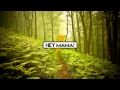 Hey Mama (DISTO Remix)