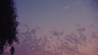 cabin fever from the hill official visualizer 