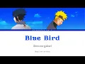 Download Lagu Blue Bird [ kanji / english / romaji lyrics ] Ikimono-gatari Shippuden OP 3