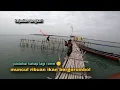 Download Lagu Kejadian langsung!! Ribuan gerombolan ikan ini datang saat kami mancing kakap putih 