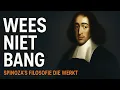Download Lagu Het GEHEIM van SPINOZA: Hoe LEVEN zonder ANGST (en waarom heeft niemand je dit verteld?)