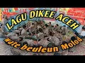 Download Lagu Dikee lagu aceh  wate buleun molod tanyo meu khan duri MP3