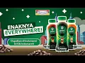 Download Lagu ENAKNYA EVERYWHERE! Point Coffee Ready to Drink