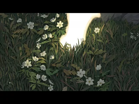 PETIT JOUR - séquence FX