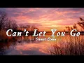 Download Lagu Can't Let You Go - Daniel Ethan - Lyrics (Official HD Video)