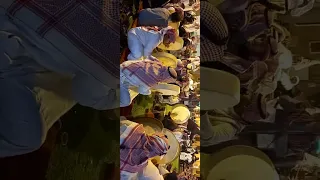 سامري شباب روضة سدير  ياعيني ياللي دمعها يهمل همالي دندنها