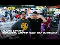 Download Lagu MENCARI HIU TERHEBAT DI PASAR IKAN JATINEGARA | #JOHAN Jejouw, Mohan Hazian