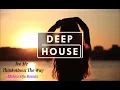 Mister Djs ft. Ice Mc - Think About The Way | Deep House Retro Remix