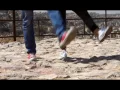 Intro to Shamstep - Jobedu Style!