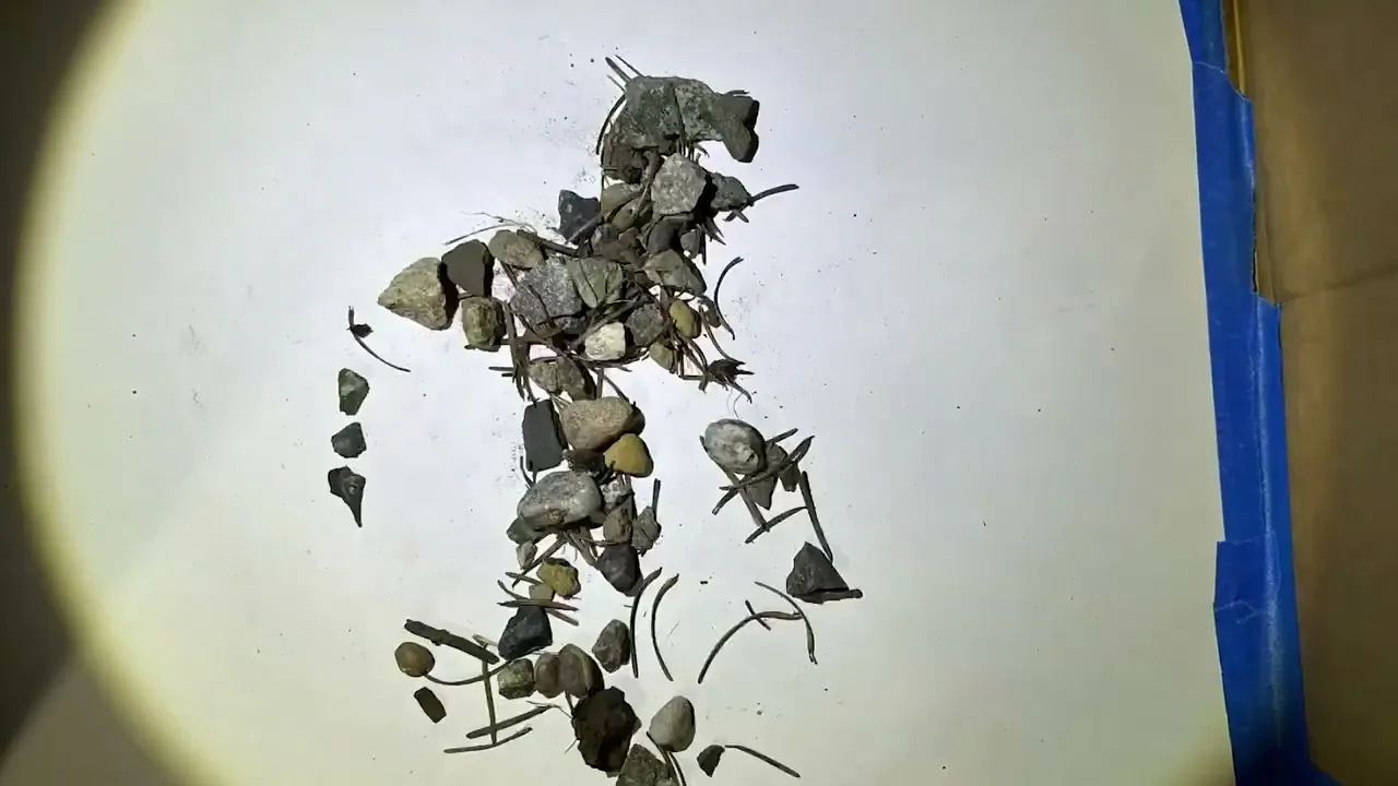 2023-2024 ANIMATION REEL