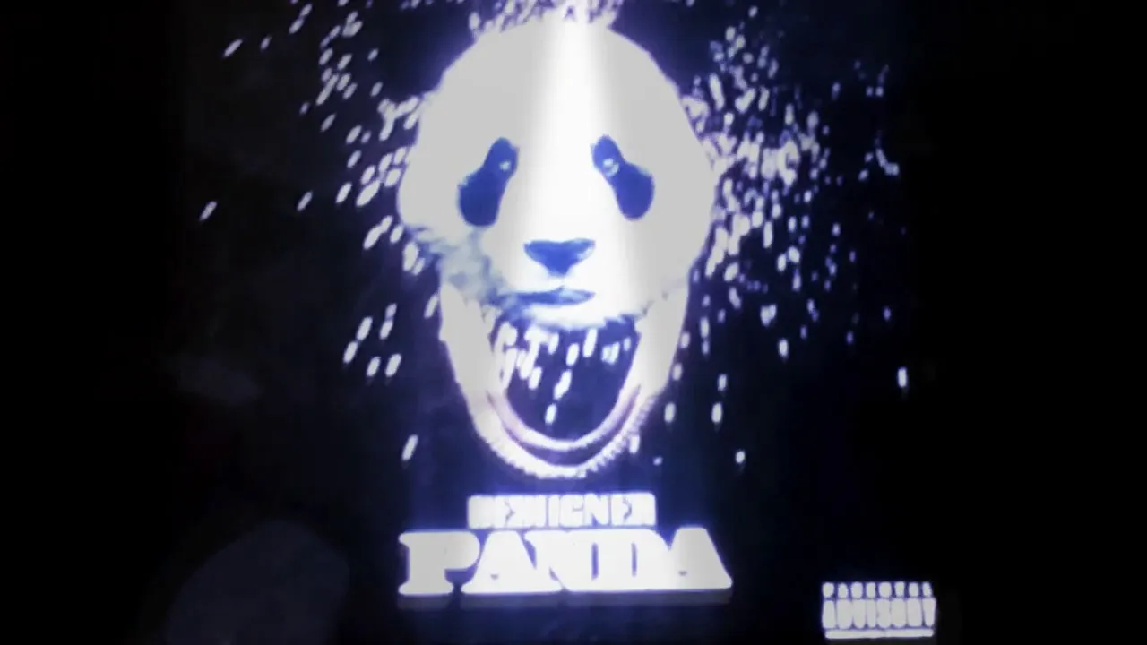 Desiigner - panda instrumental music top 💯