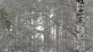 СНІГ КРУЖЛЯЄ Min 