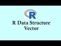 R programming R data structure vector