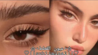 عيون القطط المسحوبه محفز قوى لتسريع النتائج 