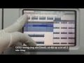 CA600 Series - Chay QC