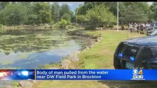 Man found dead in water at Brockton park