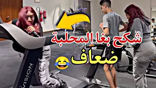 شكح بغا المحلبة ضعاف و المحلبة بغات شكح يصحاح تفرج تشوف 