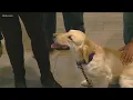 Boise Police adopts outreach canine from Idaho Humane Society