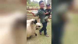 Vlog jalan-jalan bareng bersama keluarga