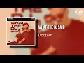 Lagu Doctum - What The DJ Said (Spinnin Records)