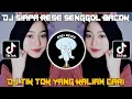 Download Lagu DJ SIAPA RESE SENGGOL BACOK || DJ VIRAL FYP TIK TOK YANG KALIAN CARI