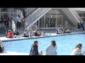 University at Albany SPRING