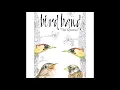 Download Lagu Bird Band - The Rescue (2021)