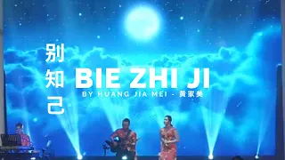 bie zhi ji huang jia mei cover 