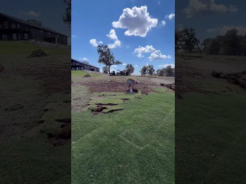 Return Policy on Grass??
