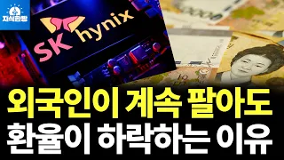 원화 강세의 숨겨진 비밀 (박종훈의 지식한방)