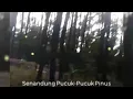 Download Lagu EBIET G ADE - SENANDUNG PUCUK-PUCUK PINUS