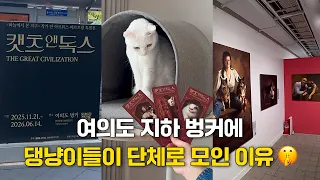 비밀 공간에서 만나는 위로, 캣츠앤독스 전시회 VLOG🐶🐱