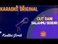 Download Lagu Cut Rani - Salahmu Sendiri Karaoke