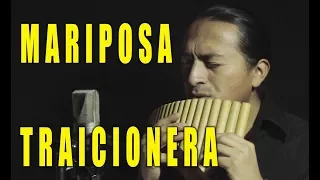 Download Maná - Mariposa traicionera - Pan Flute MP3