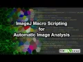 ImageJ Macro Scripting for Automatic Image Analysis Online Course