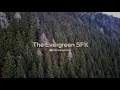Download Lagu Sound Effect Suara Alam - The Evergreen