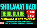 Download Lagu Sholawat Tibbil Qulub | Sholawat Syifa | Penenang Hati | Sholawat Pembuka Pintu Rezeki | Hari Senin