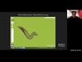 Jan 8 Stephen Larson - OpenWorm Building a whole animal simulation