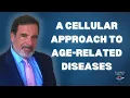 A Cellular Approach to Age-Related Diseases