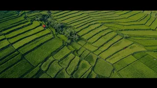 suling sunda paling merdu dan suara alam free download