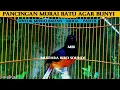 Download Lagu MURAI BATU GACOR ~ FULL ISIAN CUCAK CUNGKOK - PANCINGAN MURAI AGAR BUNYI  - MASTERAN MURAI BATU