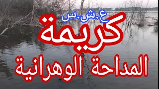 مغنية الراي والمداحات 