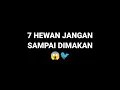 Download Lagu 7 HEWAN JANGAN SAMPAI DIMAKAN 😱🐦