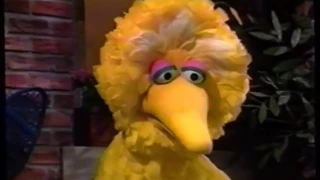 sesame street 3741 frazzle sleeps over at big bird s