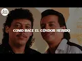 🎵 Diomedes Díaz, Juancho Rois - El Cóndor Herido (Letra)