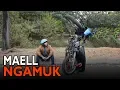 Download Lagu MAELL LEE NGAMUK