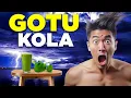 Gotu Kola Centella asiatica Benefits Breakthrough or Buzz Is It Worth the Hype