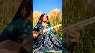 با ملودی های زیبای موسیقی سنتی ایرانی آشنا شوید 