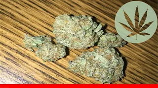 Violet Delight - All About This Strain