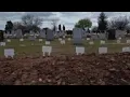Cemetery races to keep up as New York deaths mount